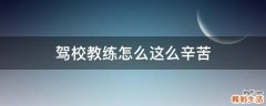 驾校教练怎么这么辛苦