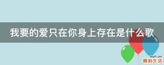 我要的爱只在你身上存在是什么歌
