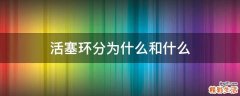 活塞环分为什么和什么