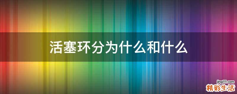 活塞环分为什么和什么