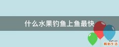 什么水果钓鱼上鱼最快