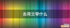 去荷兰带什么