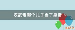 汉武帝哪个儿子当了皇帝