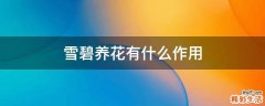 雪碧养花有什么作用