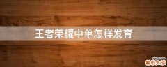 王者荣耀中单怎样发育