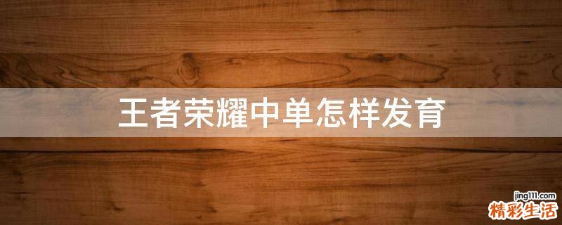 王者荣耀中单怎样发育