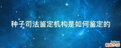 种子司法鉴定机构是如何鉴定的