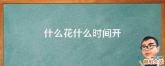 什么花什么时间开