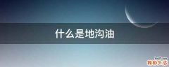 什么是地沟油