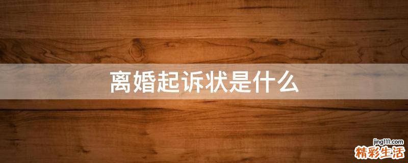 离婚起诉状是什么