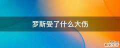 罗斯受了什么大伤