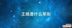 王皓是什么军衔