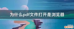 为什么pdf文件打开是浏览器