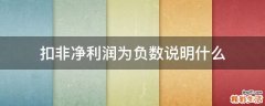 扣非净利润为负数说明什么