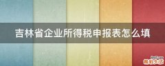 吉林省企业所得税申报表怎么填