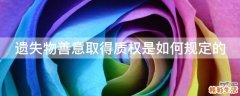 遗失物善意取得质权是如何规定的