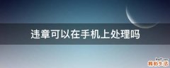违章可以在手机上处理吗