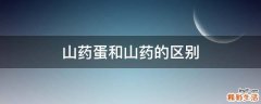 山药蛋和山药的区别