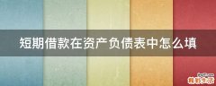 短期借款在资产负债表中怎么填