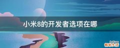 小米8的开发者选项在哪