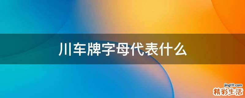 川车牌字母代表什么