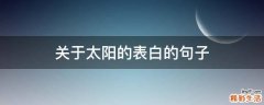 关于太阳的表白的句子
