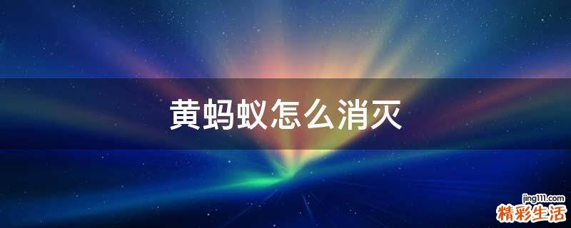 黄蚂蚁怎么消灭