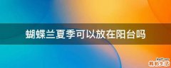蝴蝶兰夏季可以放在阳台吗