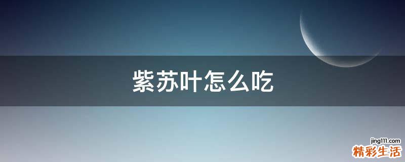 紫苏叶怎么吃