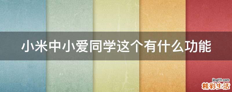 小米中小爱同学这个有什么功能
