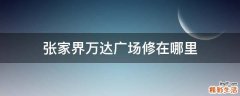 张家界万达广场修在哪里