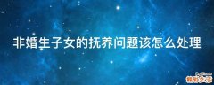 非婚生子女的抚养问题该怎么处理