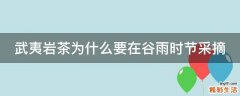 武夷岩茶为什么要在谷雨时节采摘