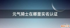 元气骑士在哪里实名认证