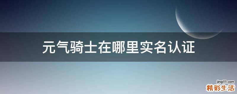 元气骑士在哪里实名认证