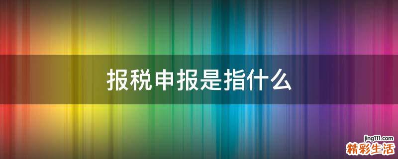 报税申报是指什么
