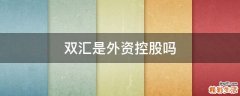 双汇是外资控股吗