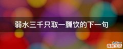 弱水三千只取一瓢饮的下一句