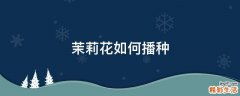 茉莉花如何播种