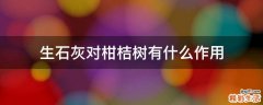 生石灰对柑桔树有什么作用