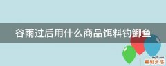 谷雨过后用什么商品饵料钓鲫鱼