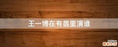 王一博在有翡里演谁