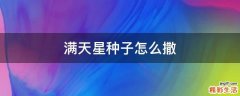 满天星种子怎么撒