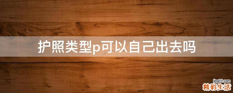 护照类型p可以自己出去吗