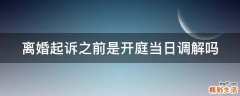 离婚起诉之前是开庭当日调解吗