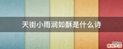 天街小雨润如酥是什么诗