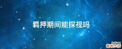 羁押期间能探视吗