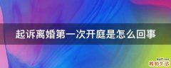 起诉离婚第一次开庭是怎么回事