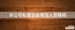 非公司私营企业有法人资格吗