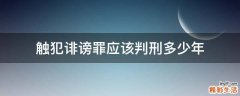 触犯诽谤罪应该判刑多少年